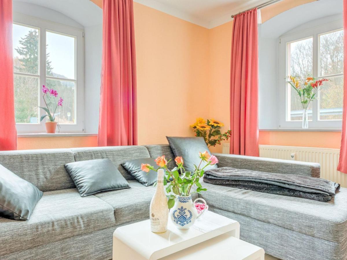 Apartment In Rauschenbach Saxony Near Forest Нойгаузен Номер фото