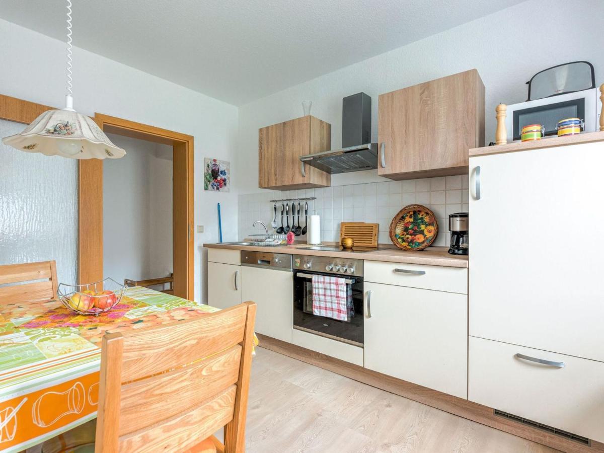 Apartment In Rauschenbach Saxony Near Forest Нойгаузен Номер фото